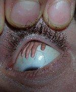 waw   mou3jiza